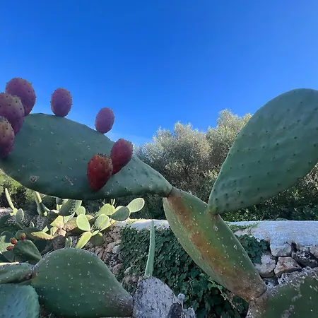 Balear מלון *