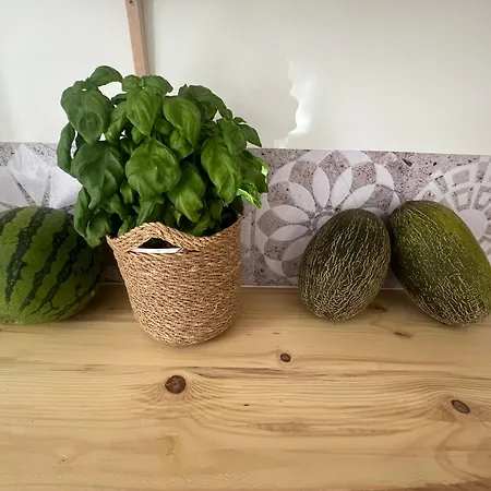 Balear 시우타데야